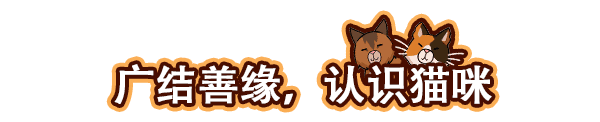 猫咖经理Cat Cafe Manager(v1.2.496)